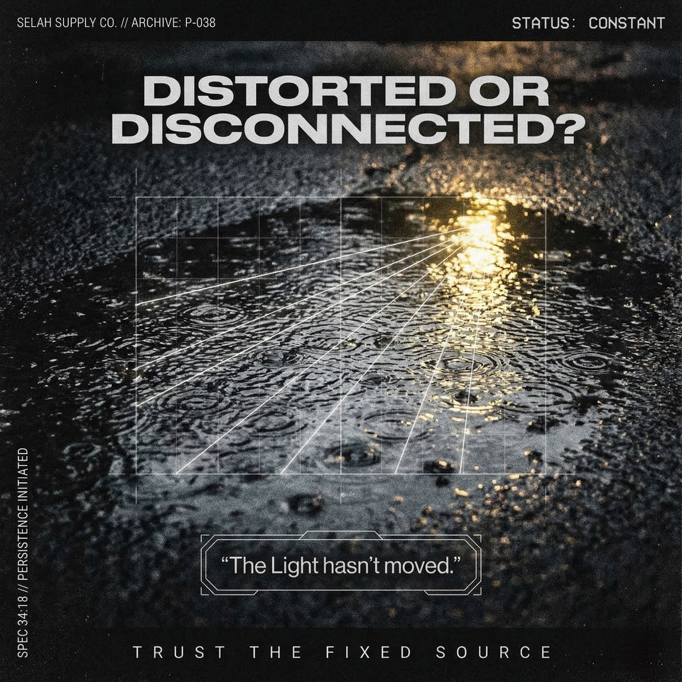 Protocol: 038 // THE PERCEPTION MISDIAGNOSIS