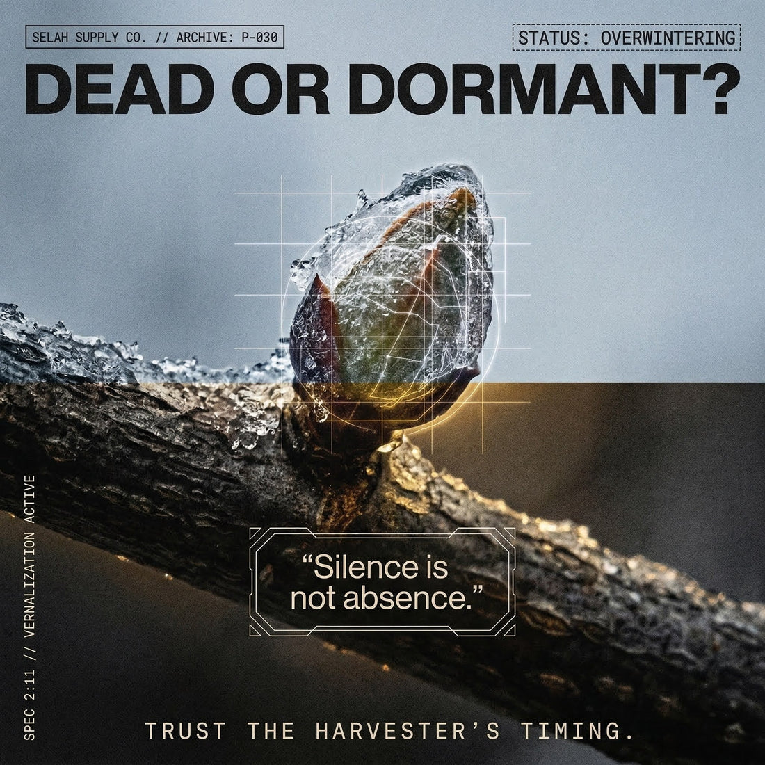 Protocol: 030 // THE DORMANCY MISDIAGNOSIS