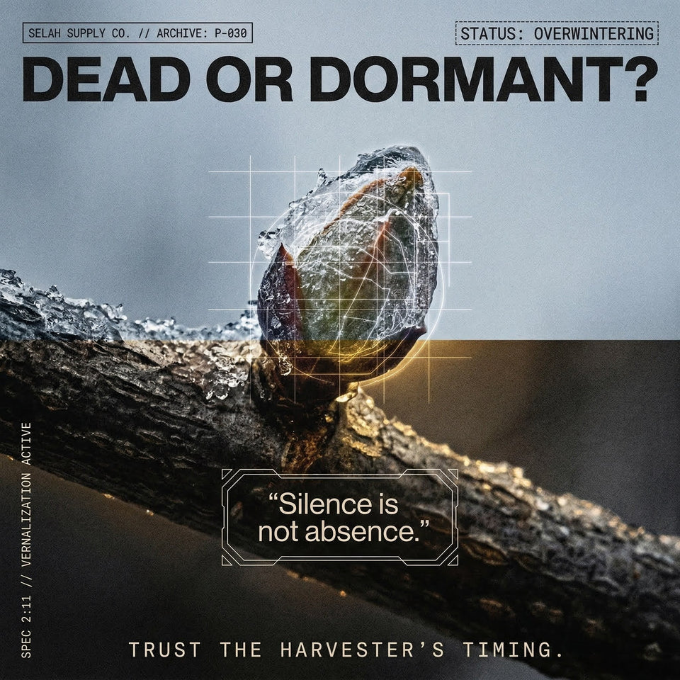Protocol: 030 // THE DORMANCY MISDIAGNOSIS